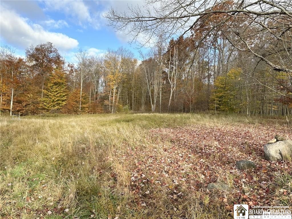 433 Hall Road Kiantone, NY 14701 - Photo 5 of 9