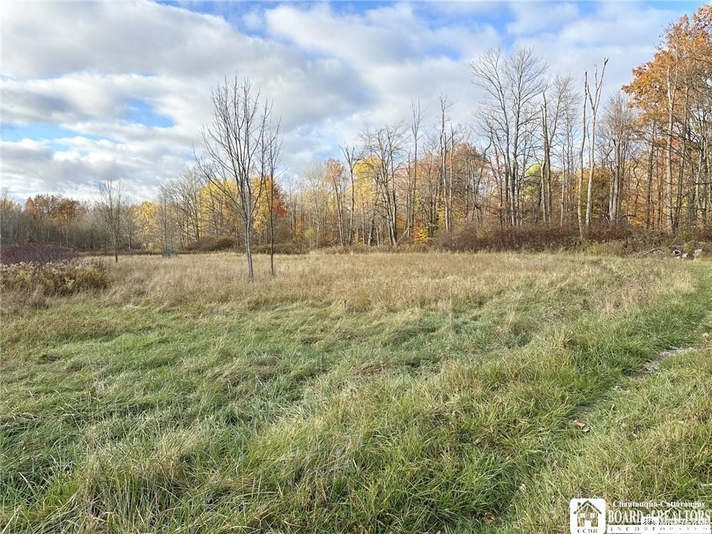 433 Hall Road Kiantone, NY 14701 - Photo 7 of 9