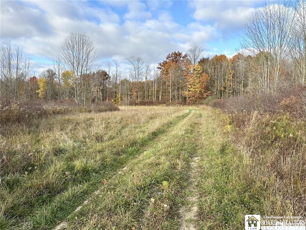 433 Hall Road Kiantone, NY 14701 - Photo 8 of 9