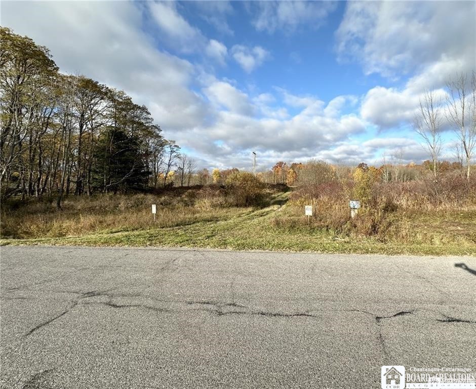 433 Hall Road Kiantone, NY 14701 - Photo 9 of 9