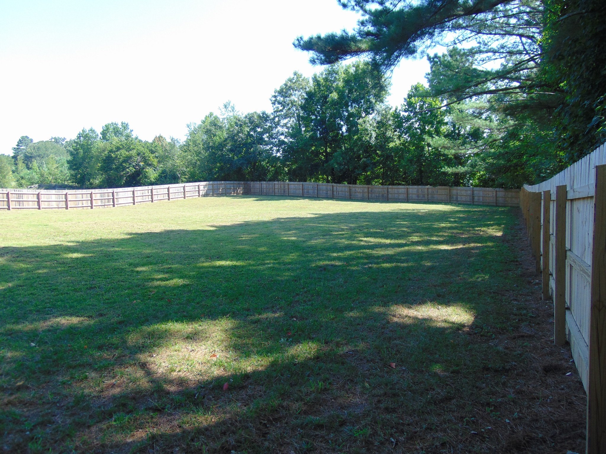 3812 Buffalo Road Summertown, TN 38483 - Photo 23 of 40 Gallery Image 23