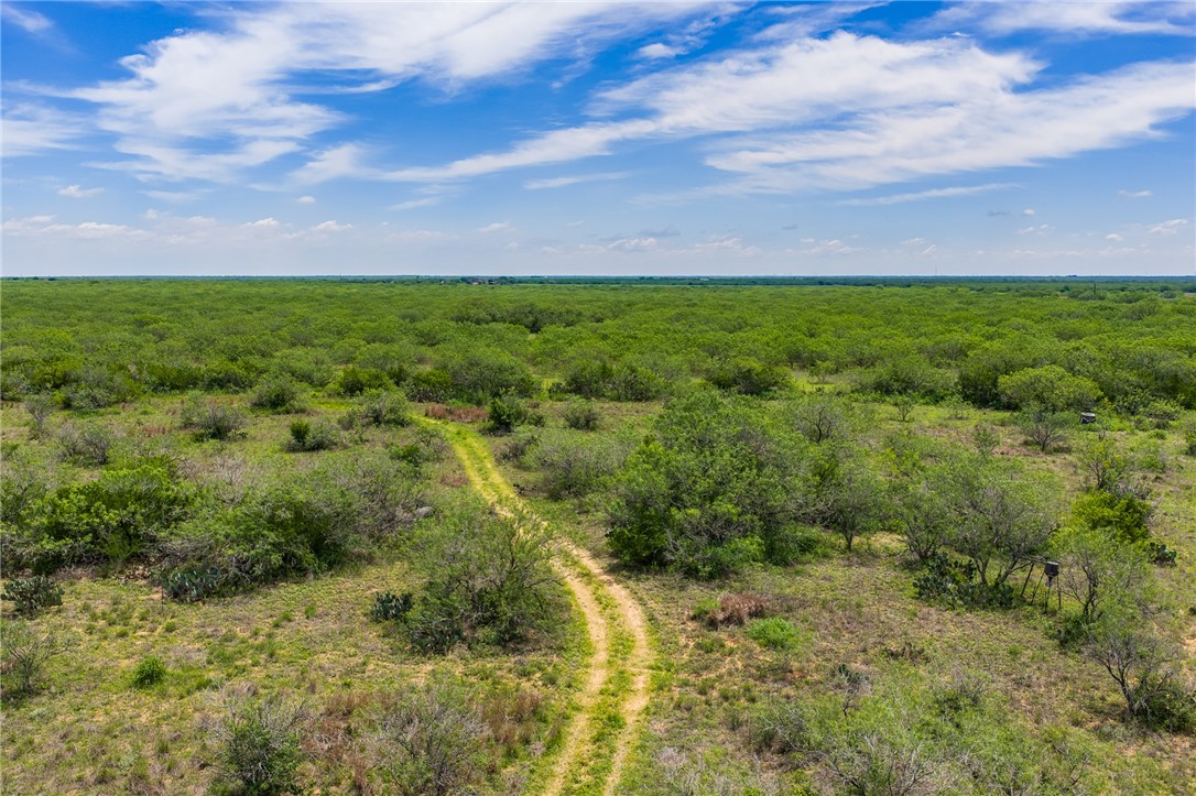 0 Fm 3249 Realitos, TX 78376 - Photo 6 of 12 a view of a field with lots of trees