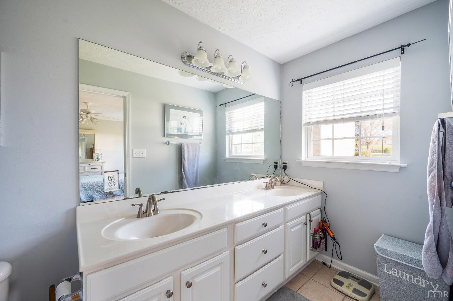 1011 Middle View Drive Forest, VA 24551 - Photo 22 of 44 a bathroom with a sink vanity mirror and toilet