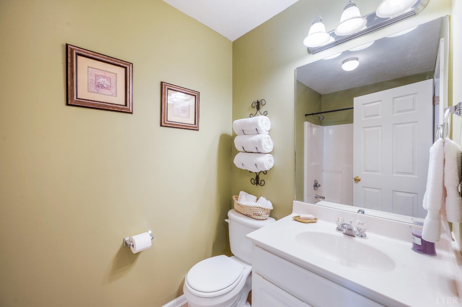 1011 Middle View Drive Forest, VA 24551 - Photo 25 of 44 a bathroom with a sink vanity mirror and toilet