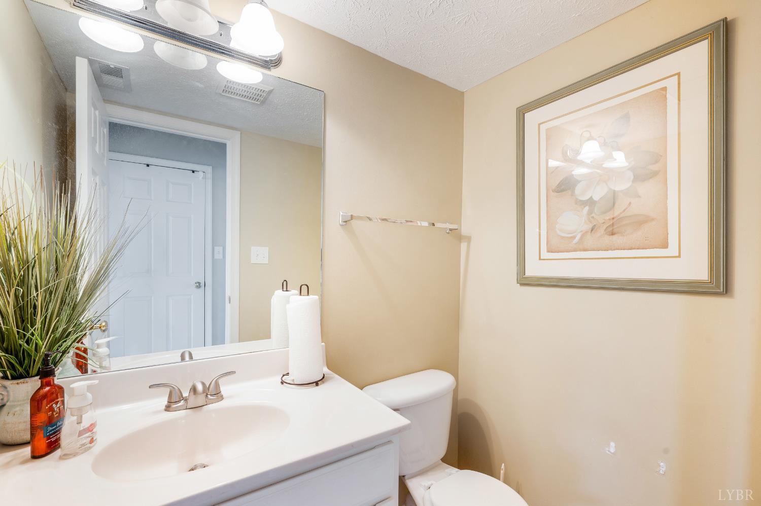 1011 Middle View Drive Forest, VA 24551 - Photo 7 of 44 a bathroom with a sink mirror and a toilet