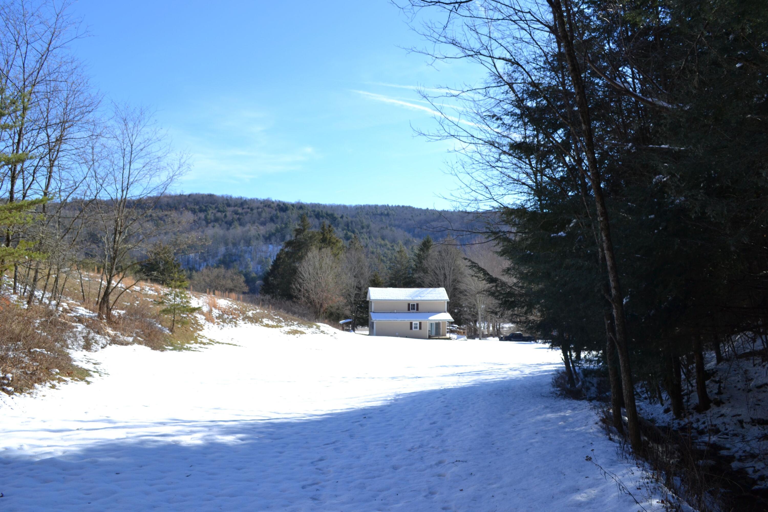 85 Green Acres Road Marlinton, WV 24954 - Photo 8 of 85 Gallery Image 8