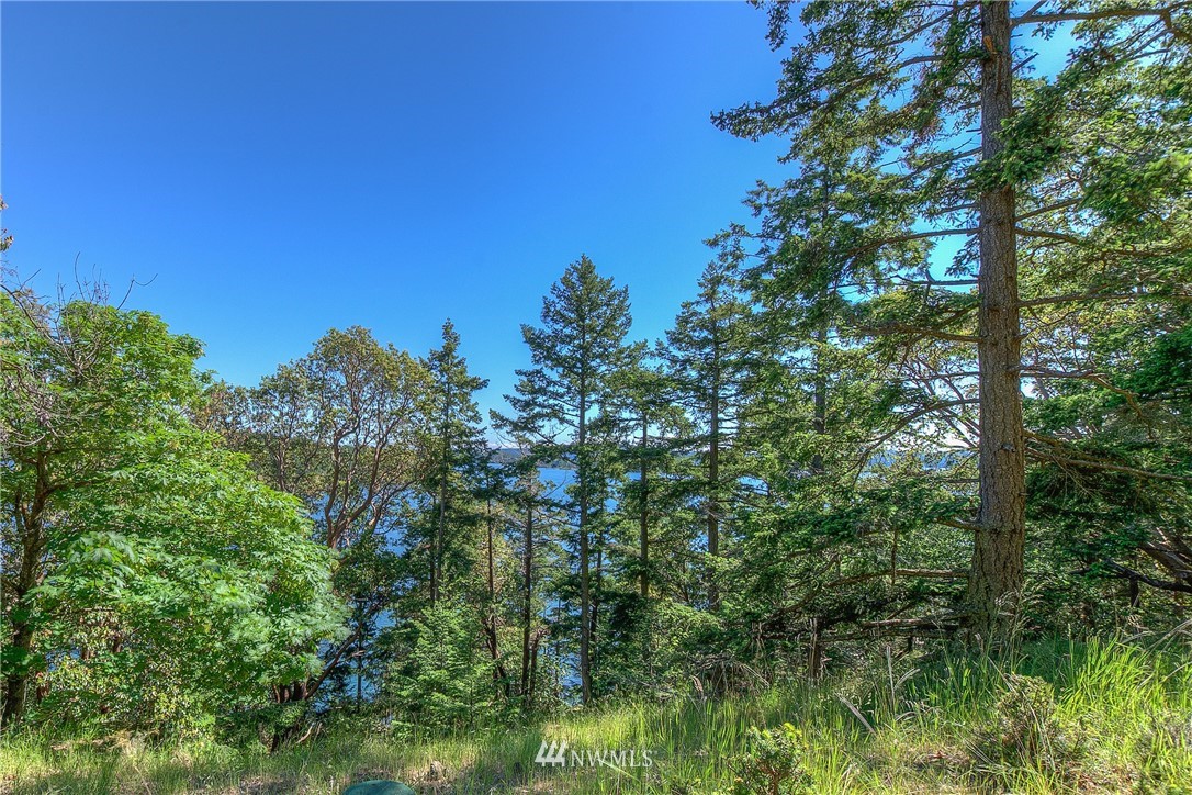 1709 Spring Point Road Orcas Island, WA 98245 - Photo 22 of 36