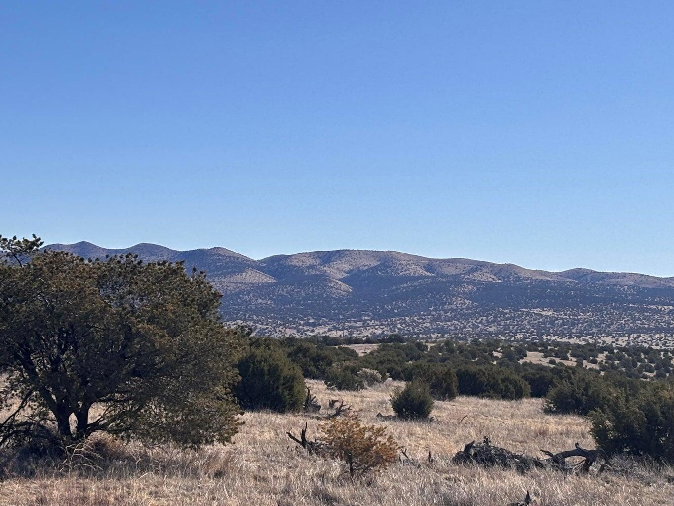 173 Campfire Rd Road Magdalena, NM 87825 - Photo 7 of 7 Gallery Image 7