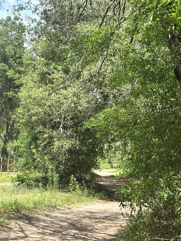 83rd Lane Bronson, FL 32621 - Photo 4 of 5
