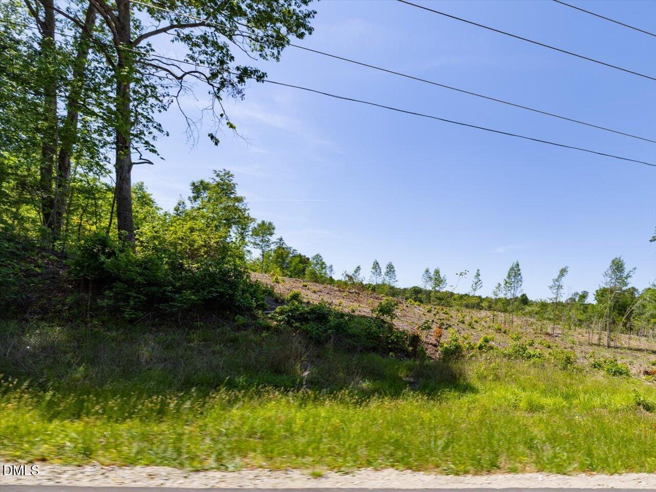 0 Lower Moncure Road Sanford, NC 27330 - Photo 7 of 21 Gallery Image 7