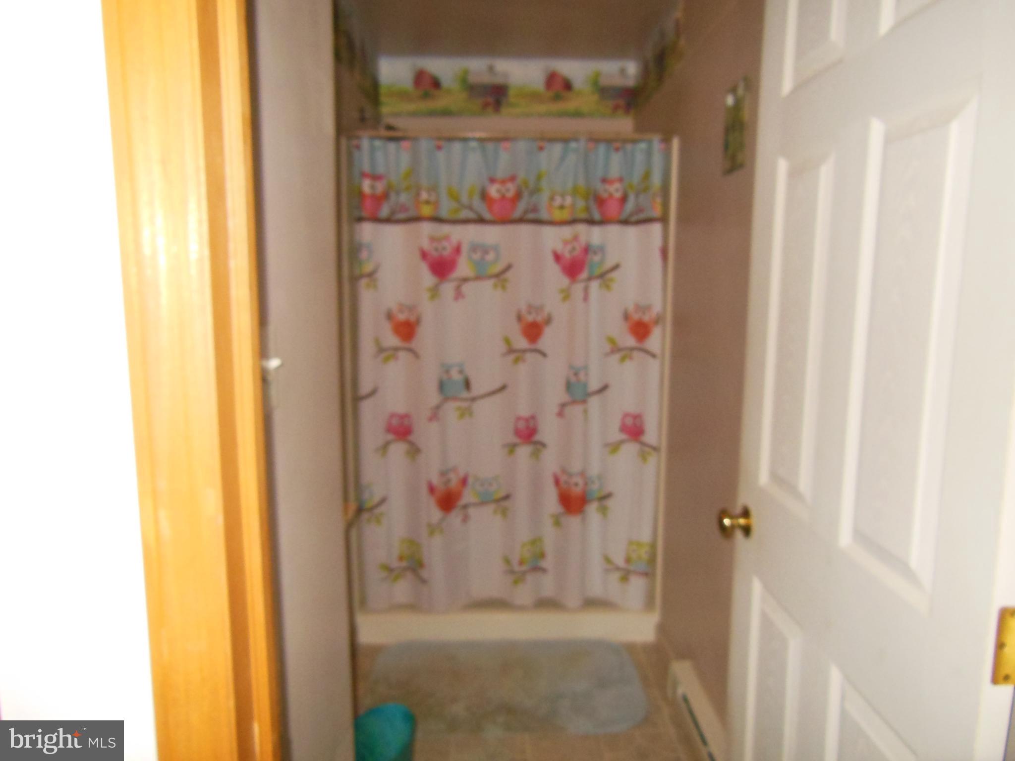 92 Spencers Run Inwood, WV 25428 - Photo 19 of 35 Owners Bath w/walk in shower