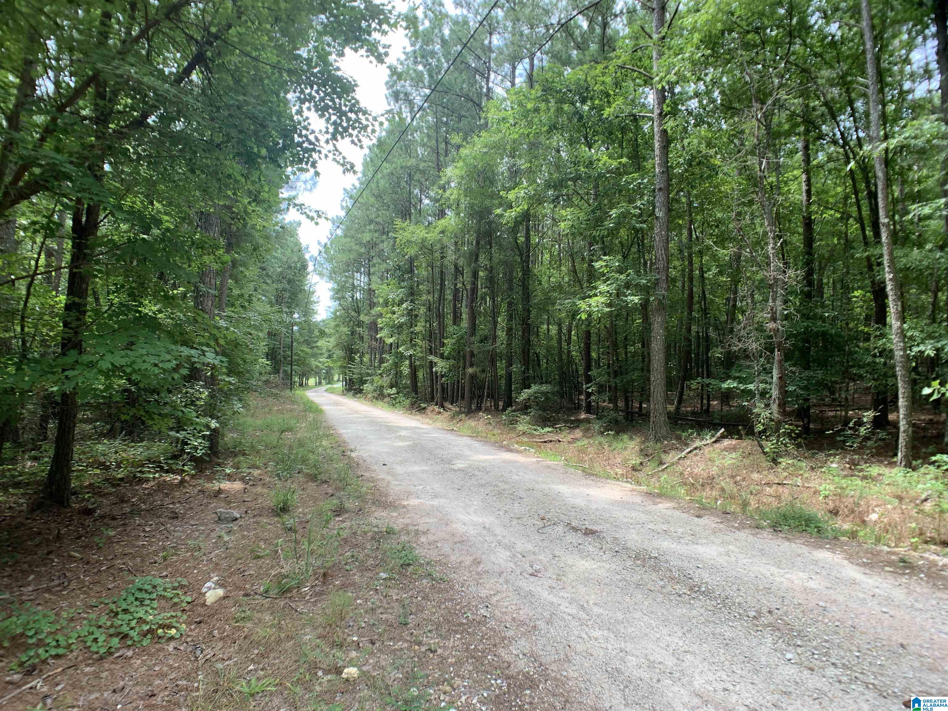 0 Arrowhead Road Piedmont, AL 36272 - Photo 7 of 8