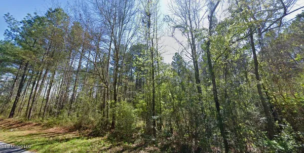 $35,000 | Heddie Ben Road, Newhebron, MS 39140