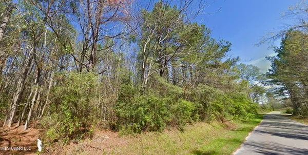 $35,000 | Heddie Ben Road, Newhebron, MS 39140