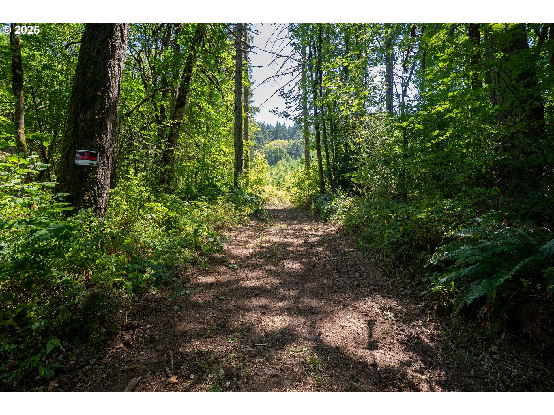 31795 Northeast Wilsonville Road Newberg, OR 97132 - Photo 8 of 26