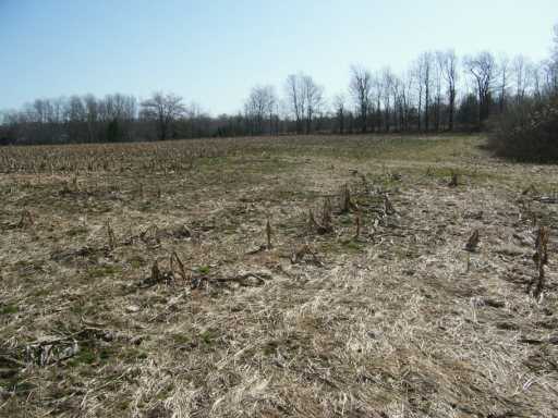 0 Bowmantown Road Cranesville, PA 16410 - Photo 3 of 5 Land.