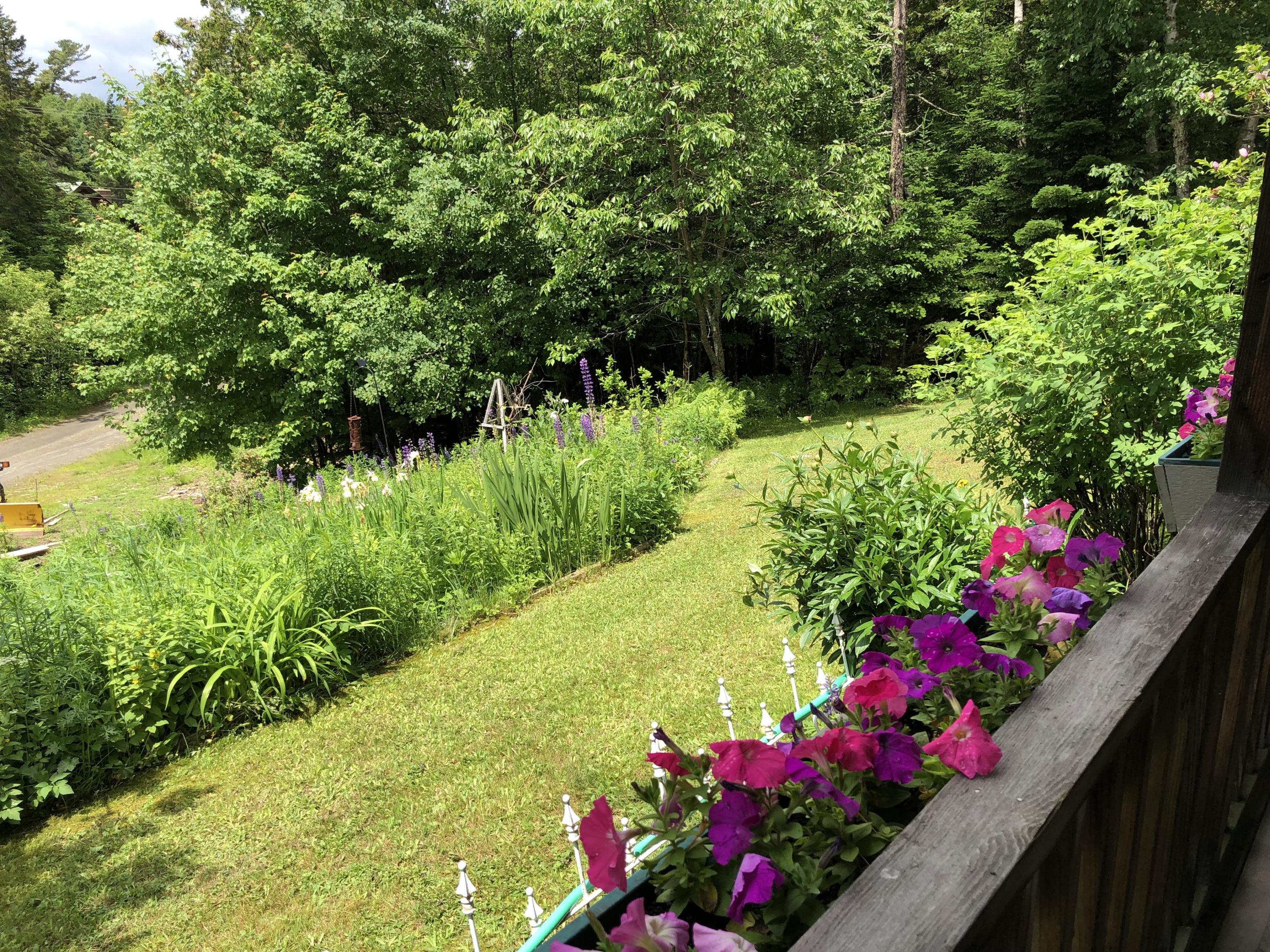 22 Bald Mountain Road Oquossoc, ME 04964 - Photo 7 of 17 IMG_1281