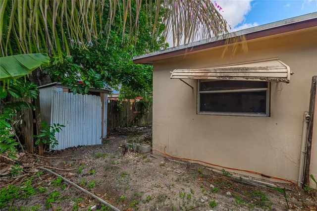 a view of a backyard with plants and large tree