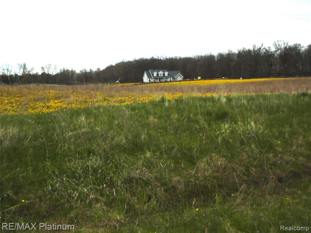 Parcel K Hacker Road Howell, MI 48843 - Photo 15 of 18