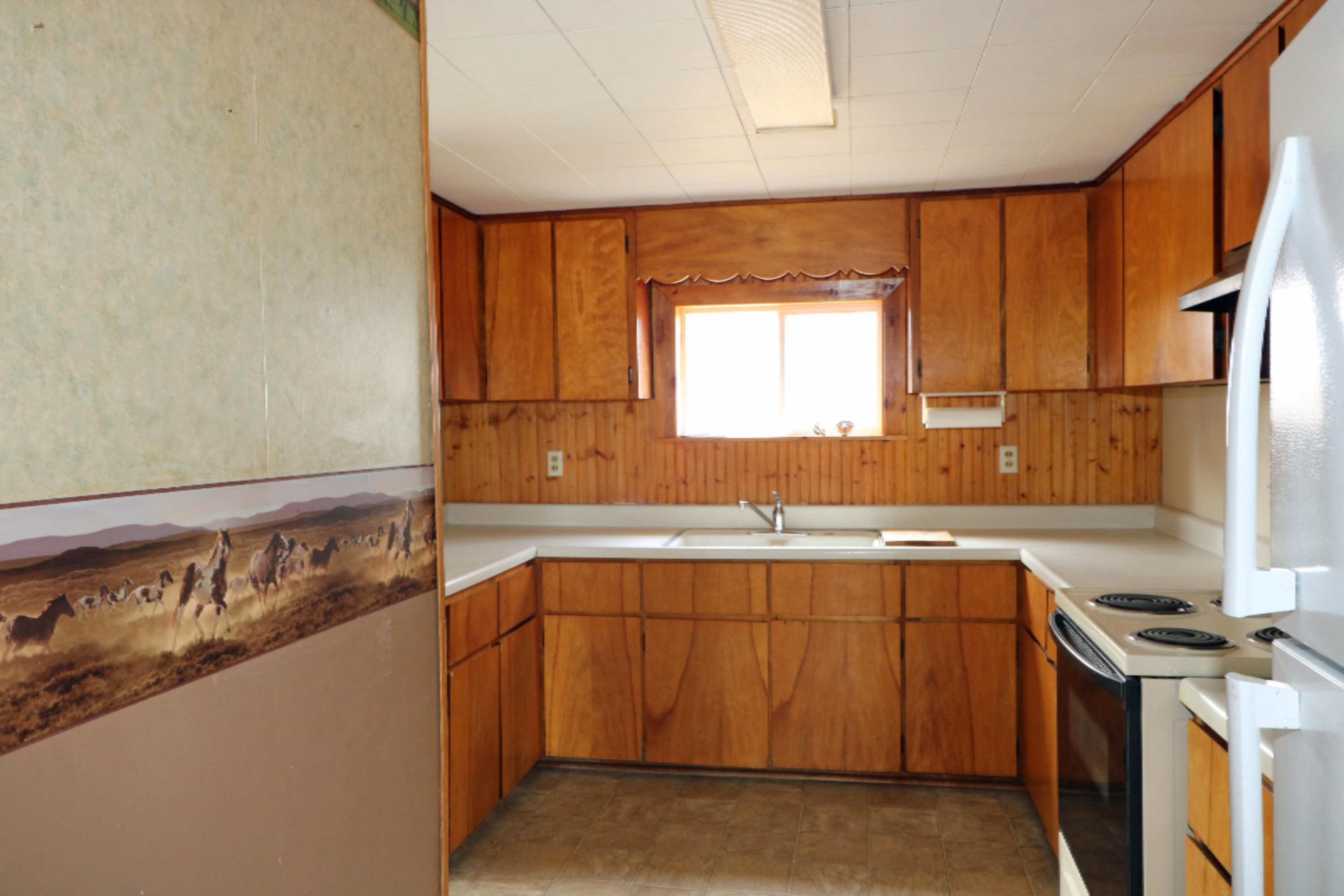 3750 East Briggs Road Stanton, MI 48888 - Photo 3 of 15 IMG_9213 11111