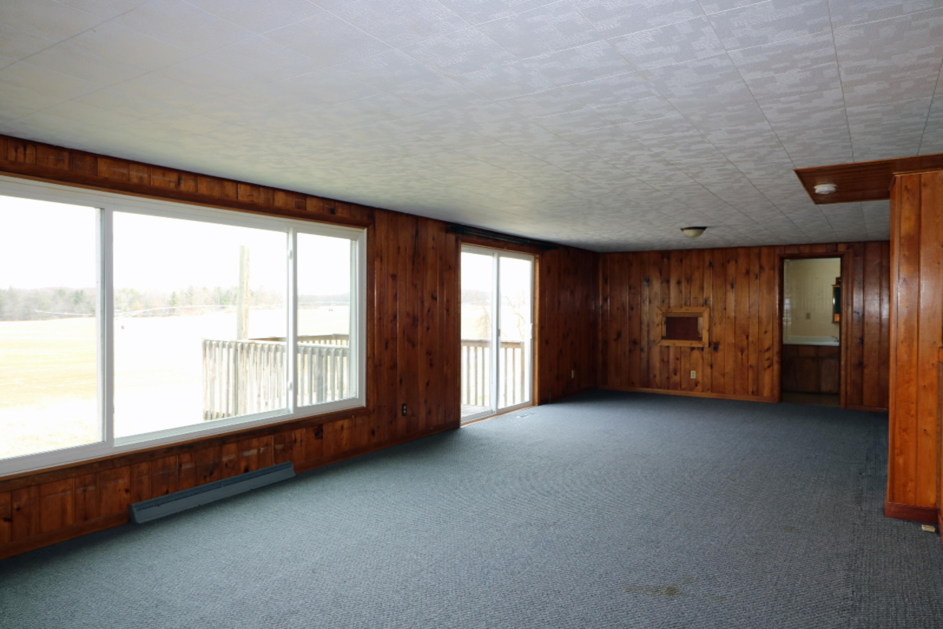 3750 East Briggs Road Stanton, MI 48888 - Photo 6 of 15 IMG_9207 11111