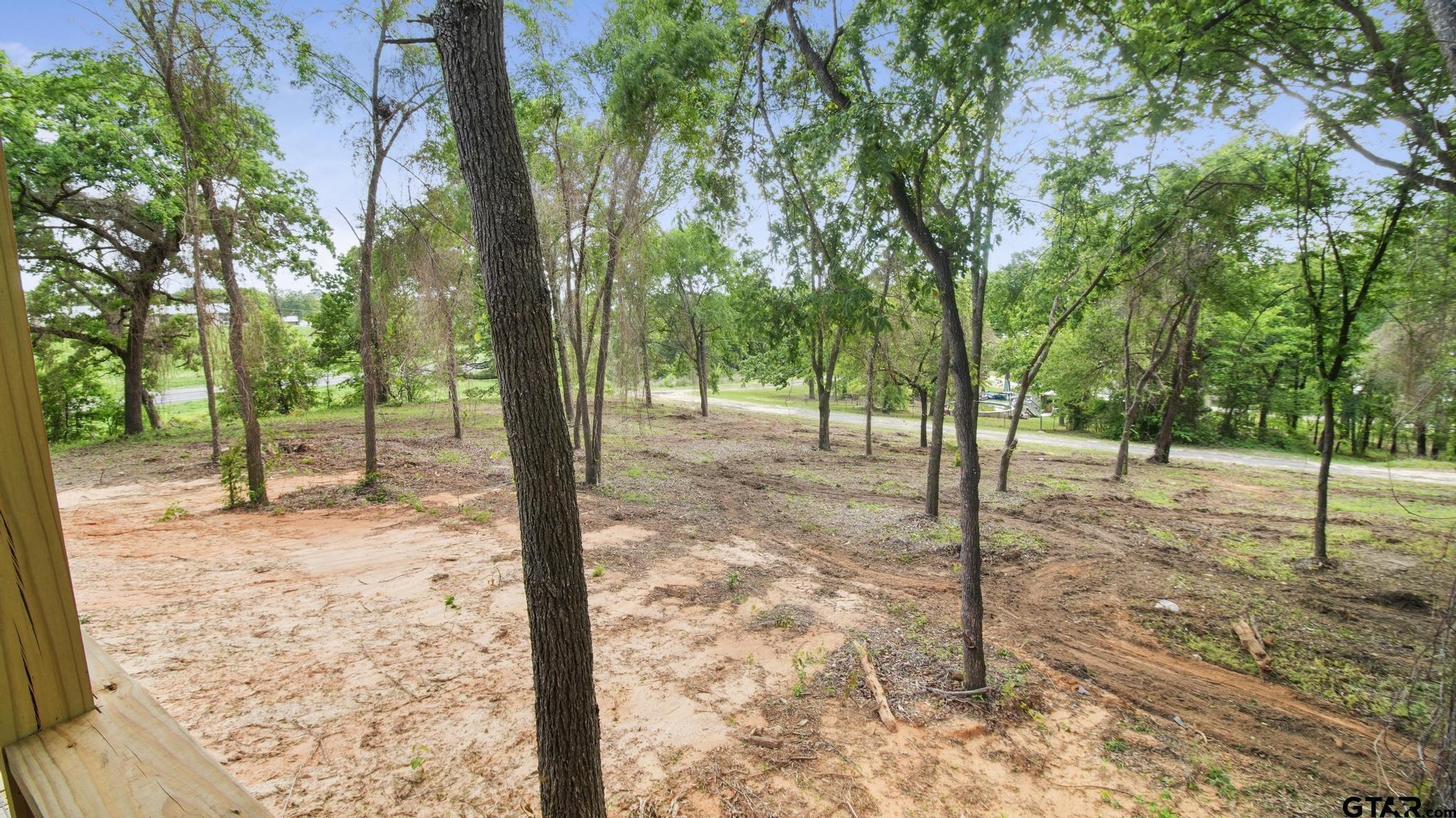 22522 Pine Street Flint, TX 75762 - Photo 32 of 39 a view of a yard with large trees
