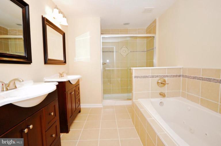 163 North Cottage Road Sterling, VA 20164 - Photo 8 of 14 Master Bath