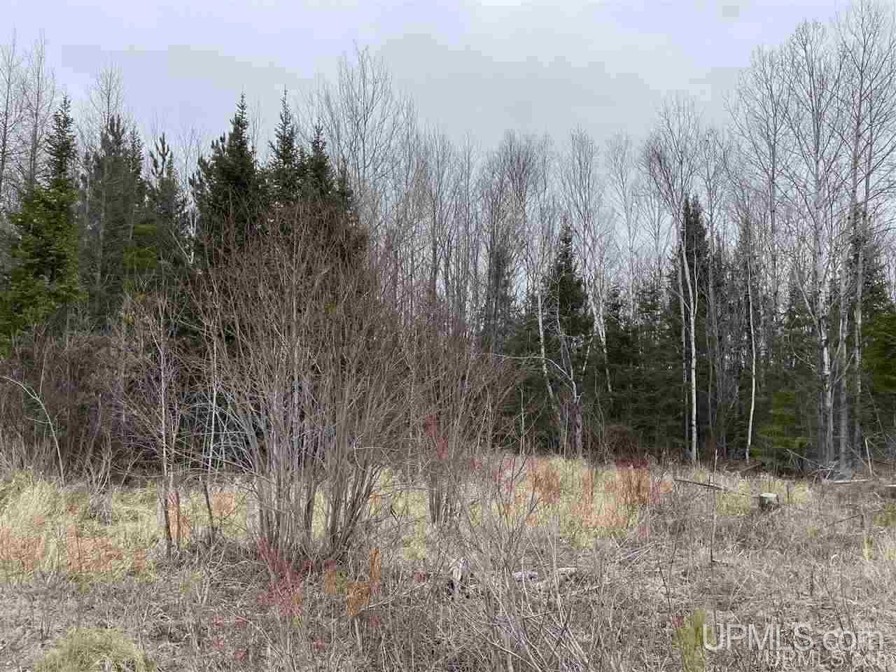 Tbd 2235 Road, Unit 3 Wetmore, MI 49895 - Photo 8 of 13