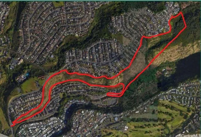 a view of a garden with plants