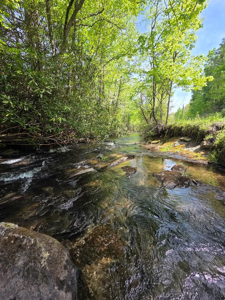 795 Porter Field Gap Road Robbinsville, NC 28771 - Photo 36 of 105
