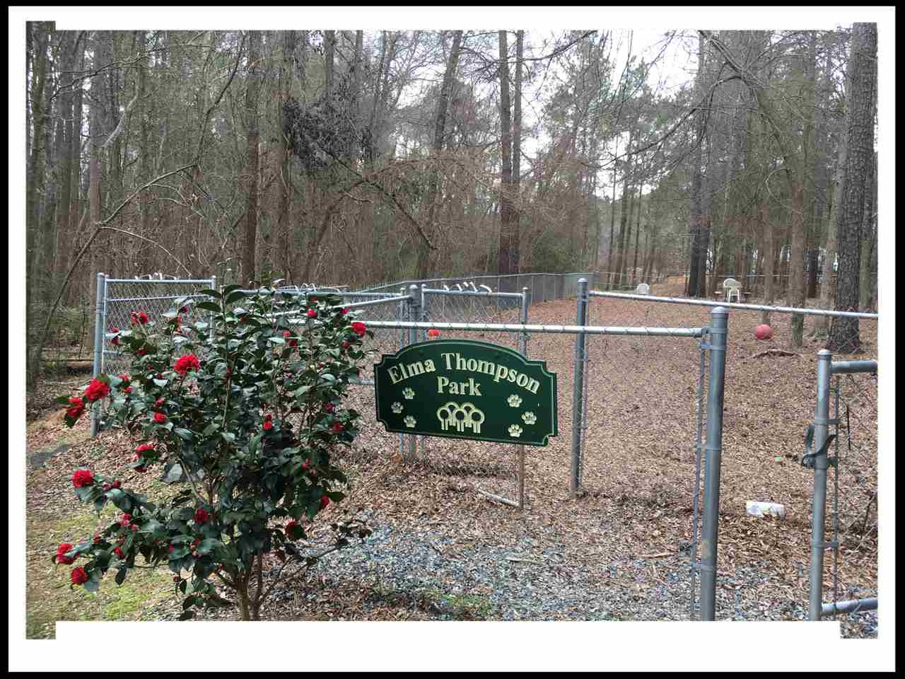 4530 Farrington Road Durham, NC 27707 - Photo 24 of 25 Photo 24