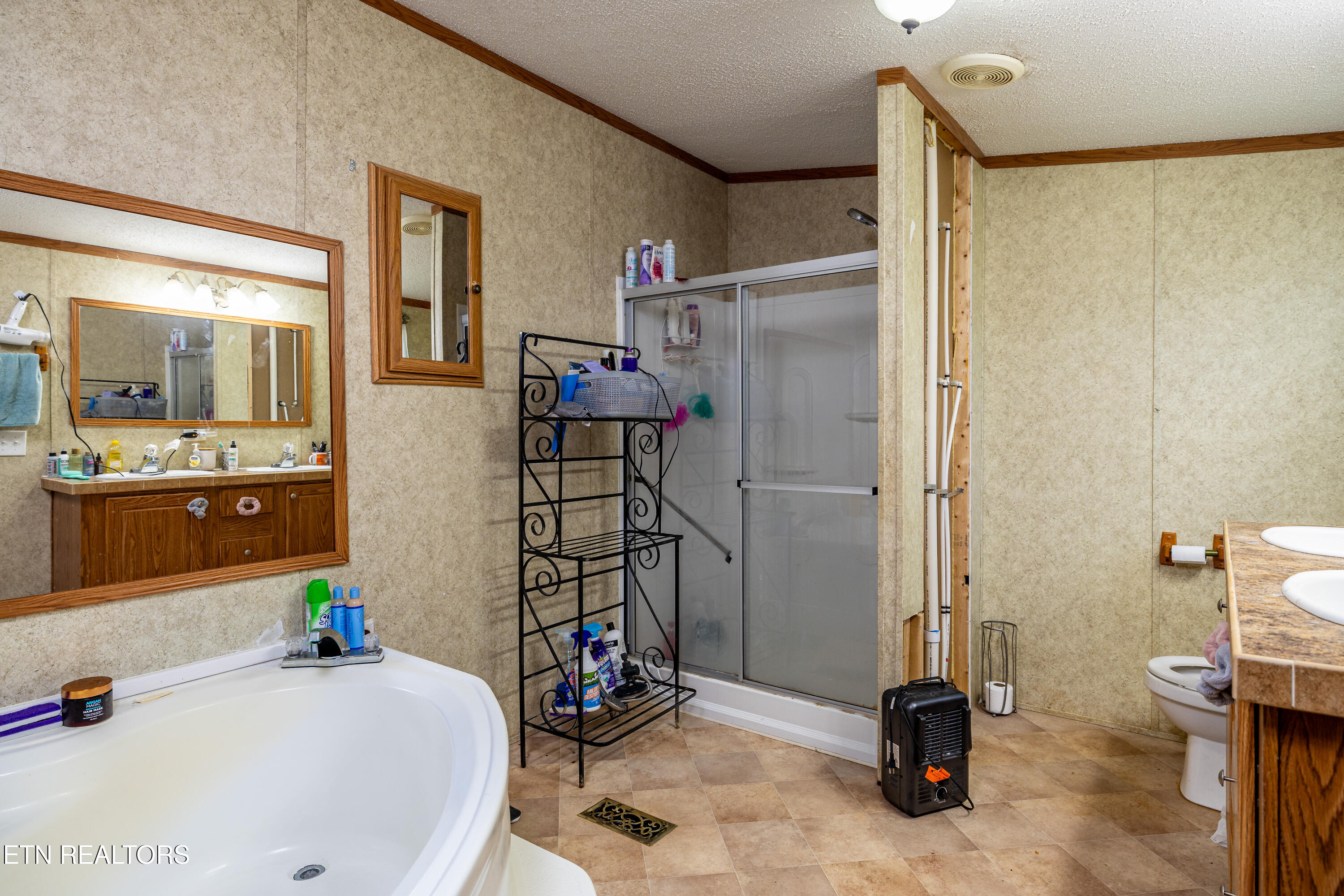 340 Stephens Road Greenback, TN 37742 - Photo 13 of 21 Primary Bathroom
