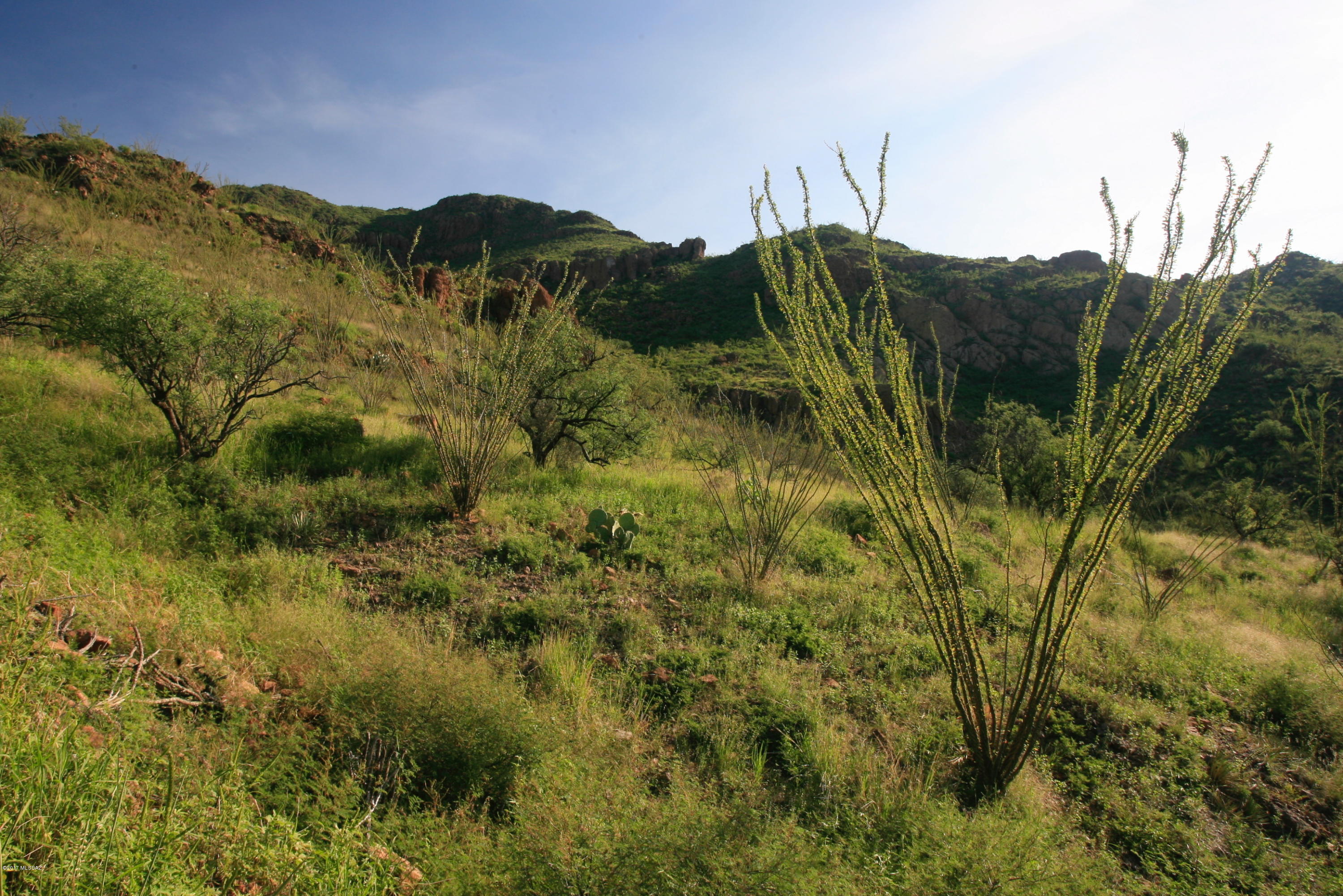 96 Salida Springs Way, Unit 123 Rio Rico, AZ 85648 - Photo 1 of 12