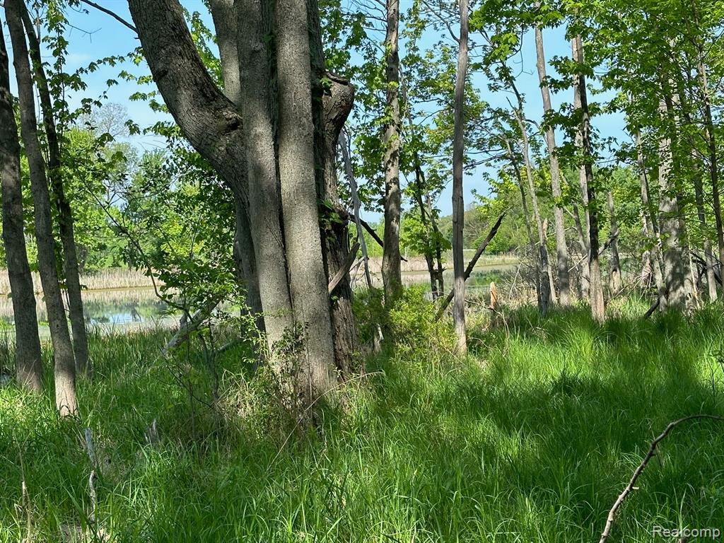 D North Holly Road Holly, MI 48442 - Photo 23 of 27