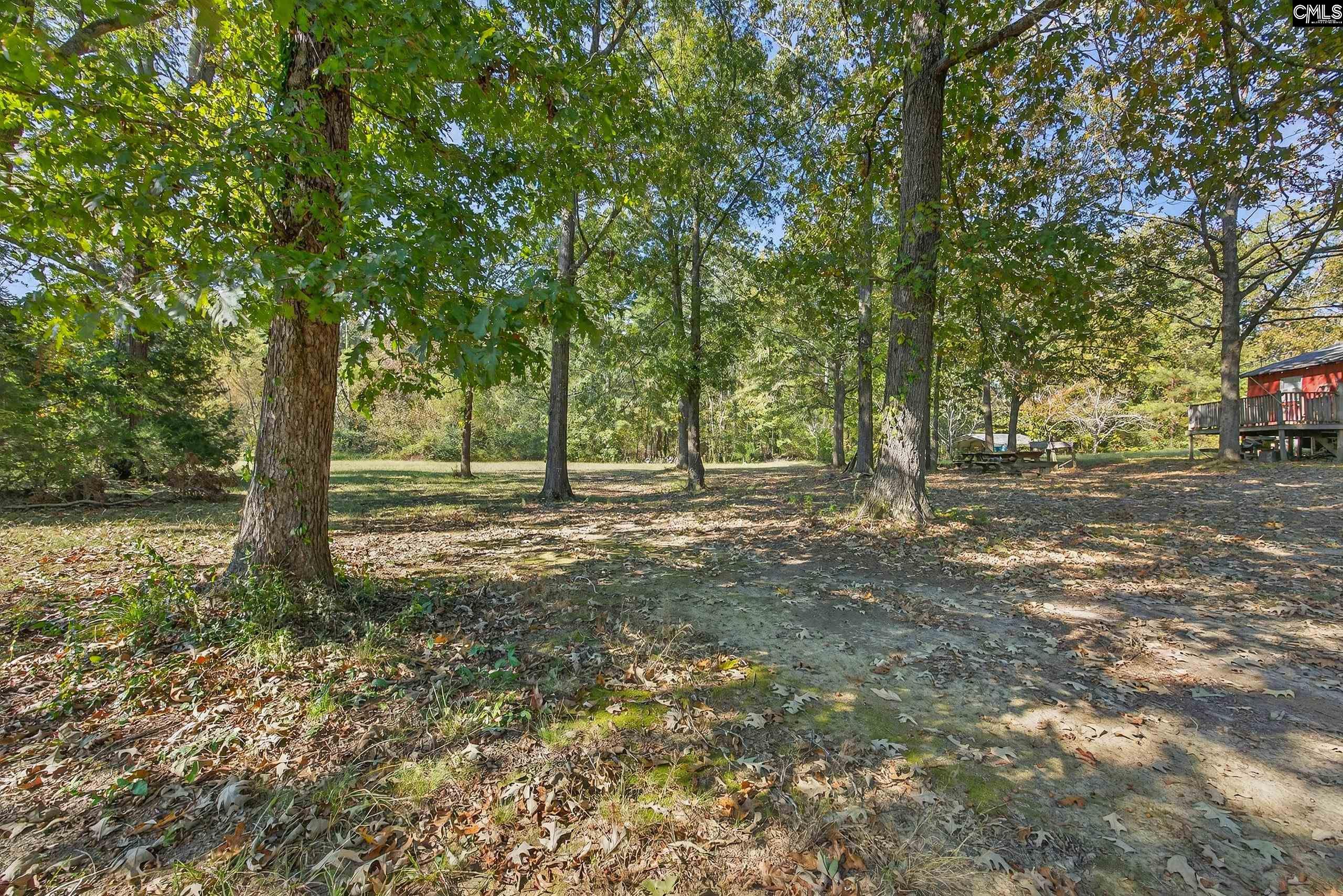 1109 Natures Cove Road Saluda, SC 29138 - Photo 11 of 36