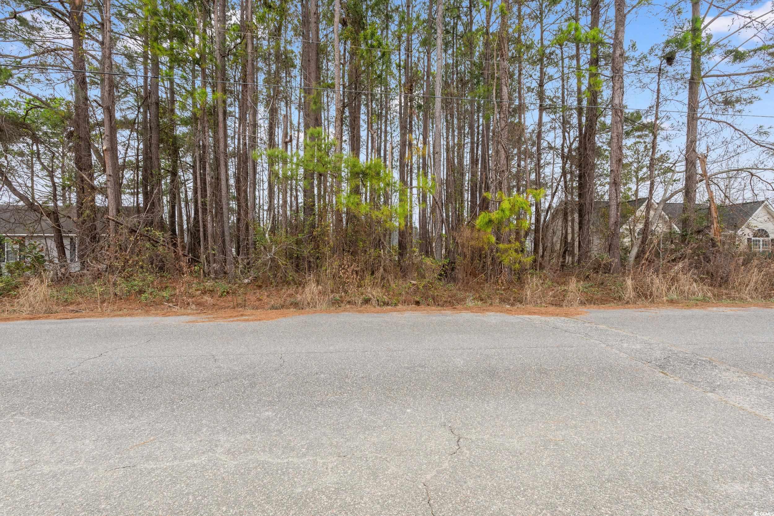 3435 Spivey Street Loris, SC 29569 - Photo 1 of 7 View of street