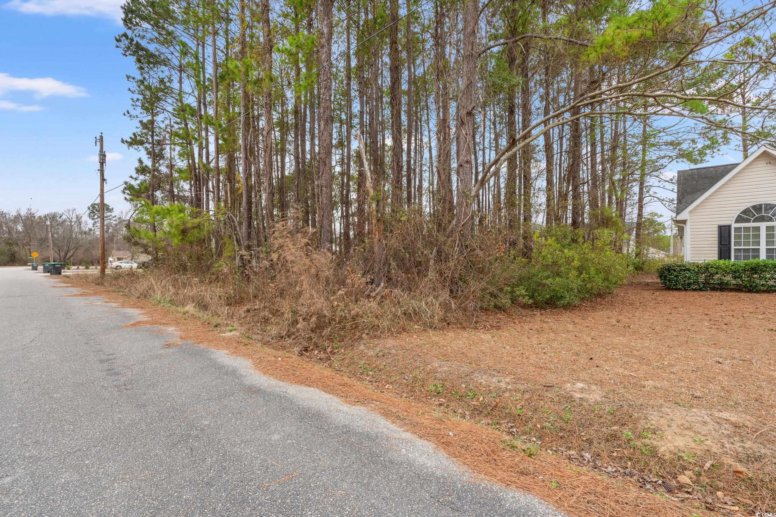 3435 Spivey Street Loris, SC 29569 - Photo 2 of 7 View of road