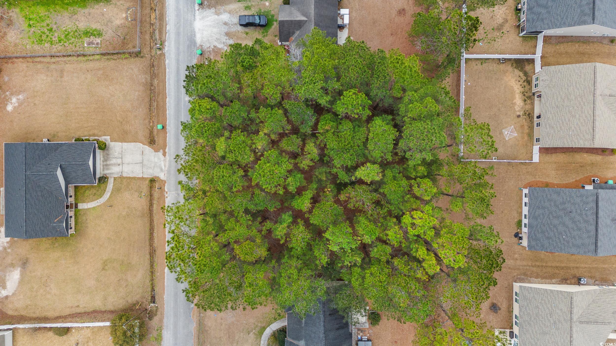 3435 Spivey Street Loris, SC 29569 - Photo 5 of 7 Aerial view