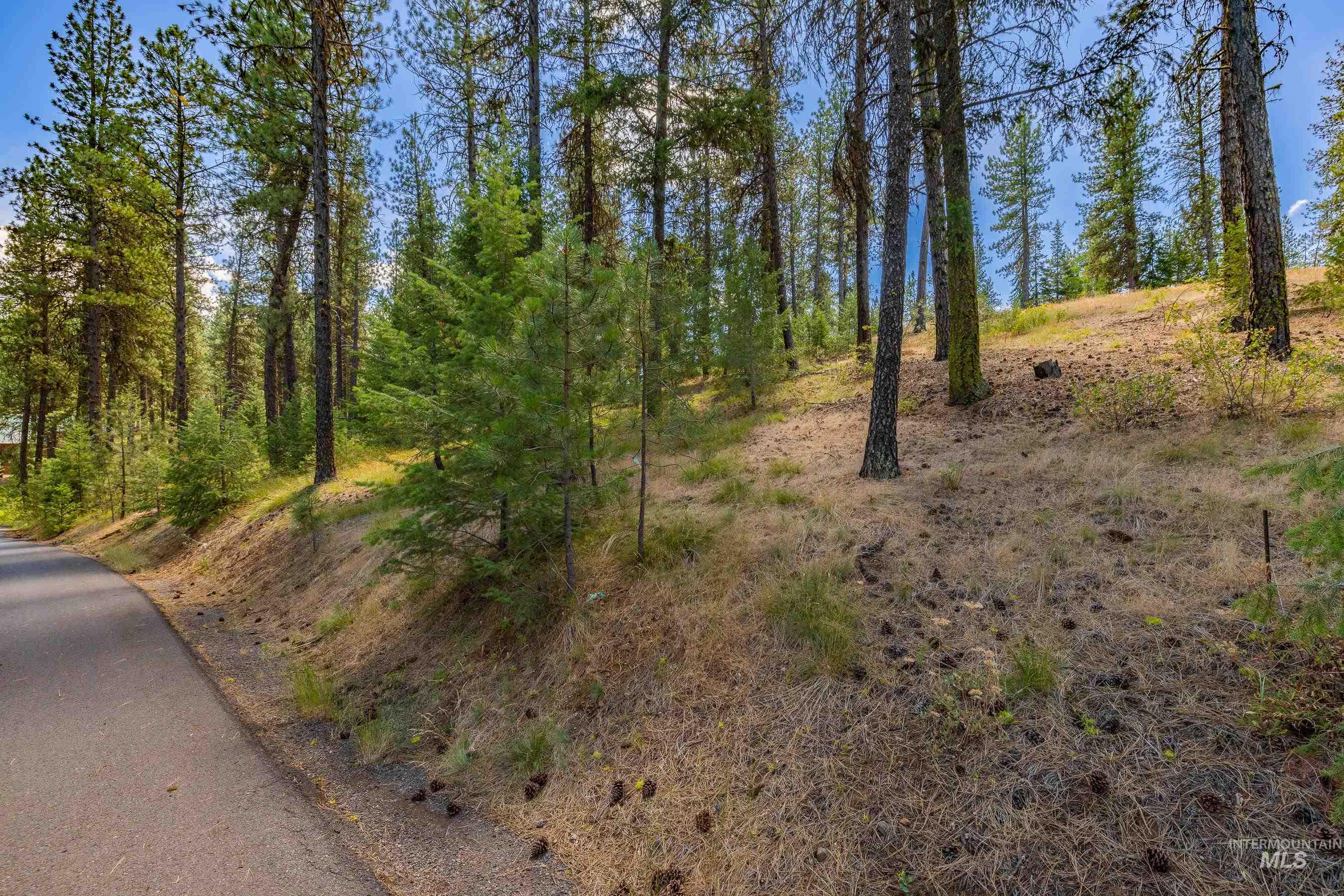 Tbd Syringa Drive New Meadows, ID 83654 - Photo 15 of 29 View of nature