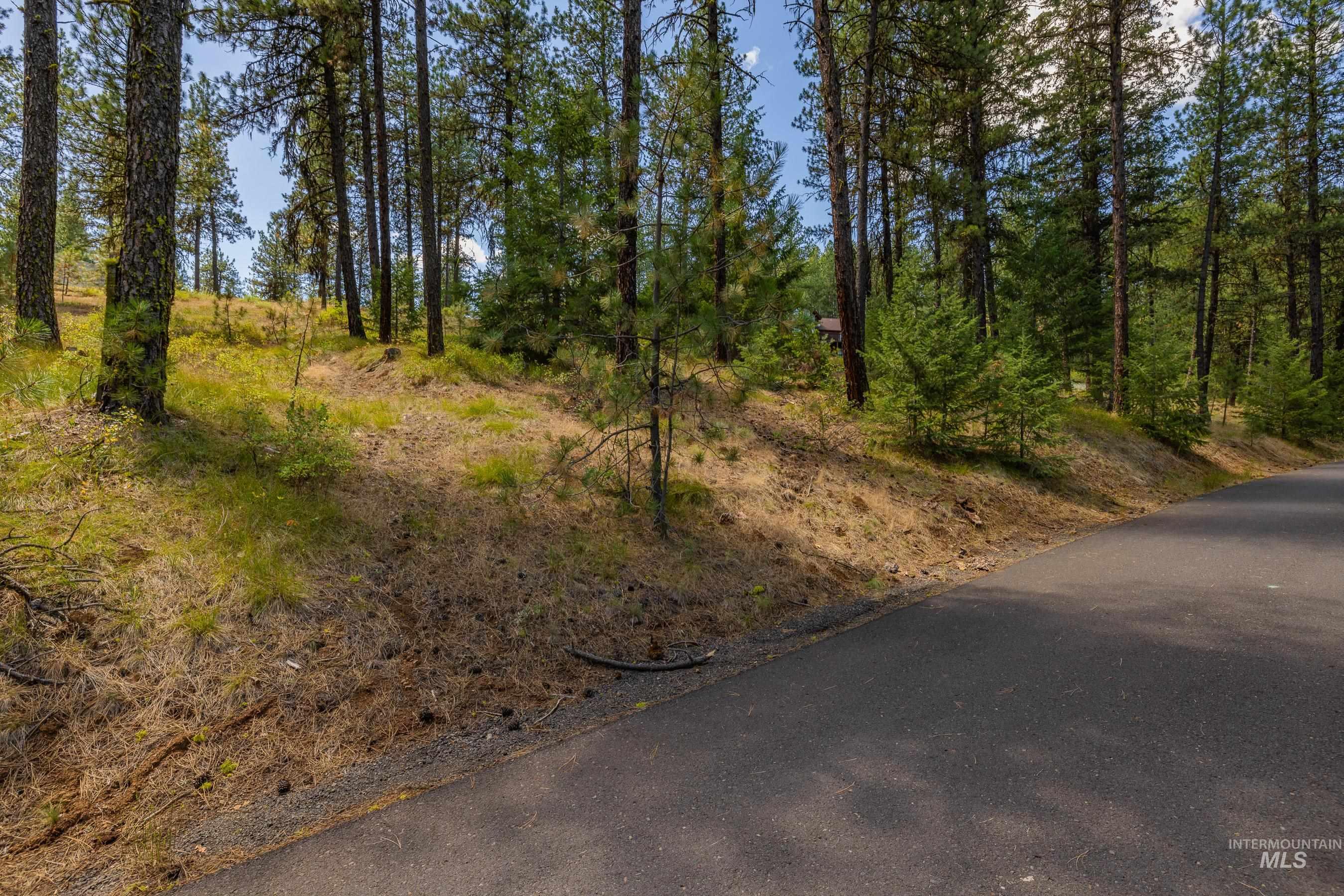 Tbd Syringa Drive New Meadows, ID 83654 - Photo 16 of 29 View of road