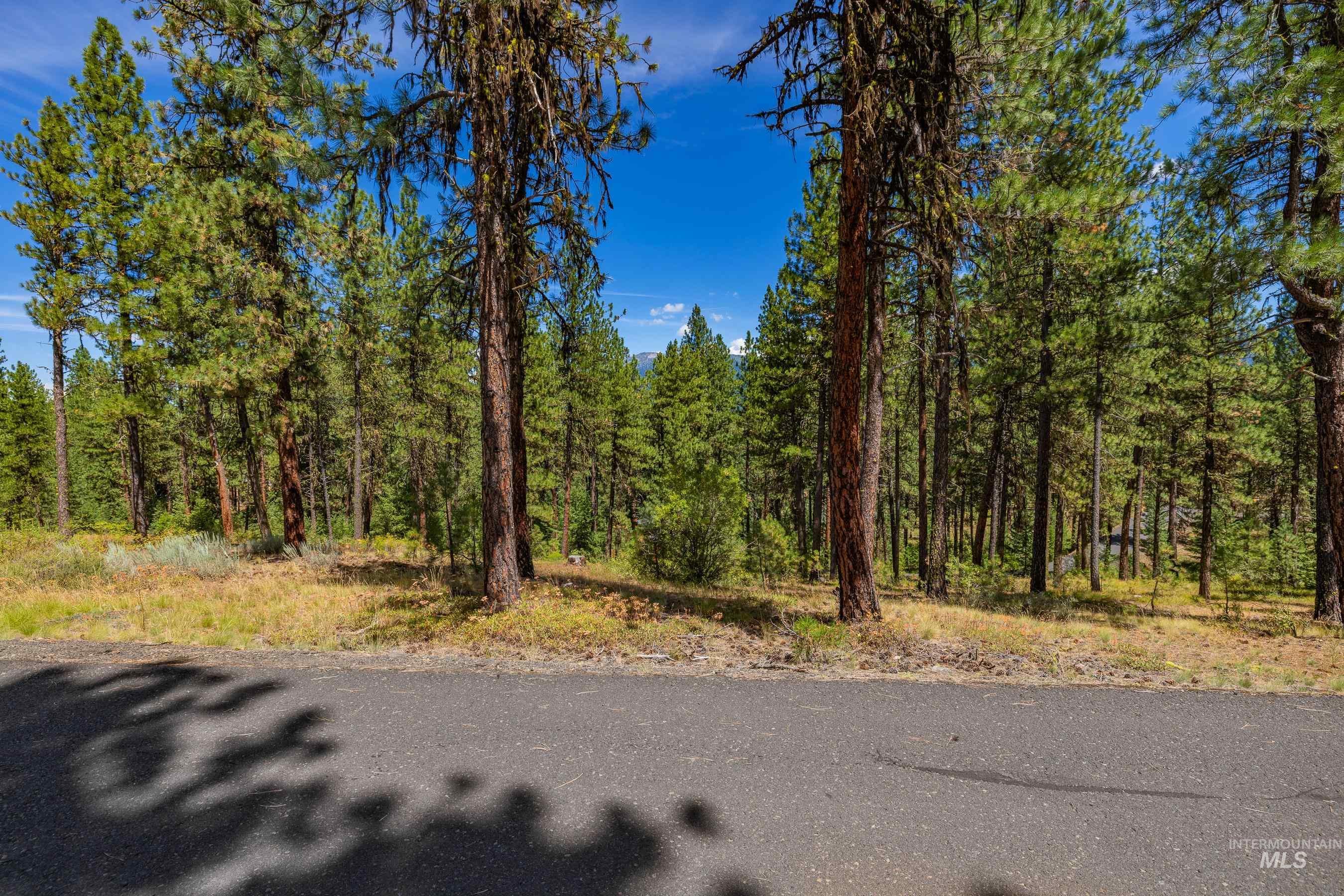 Tbd Syringa Drive New Meadows, ID 83654 - Photo 18 of 29 View of road with a forest view