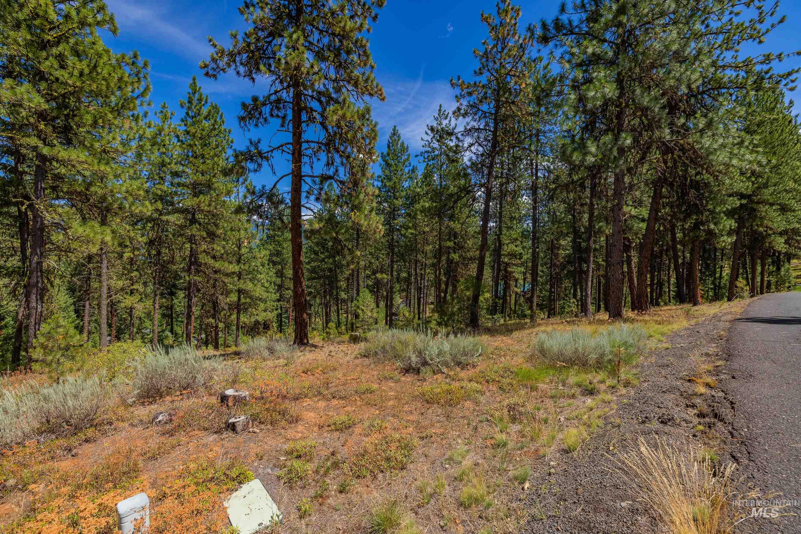 Tbd Syringa Drive New Meadows, ID 83654 - Photo 19 of 29 View of woods