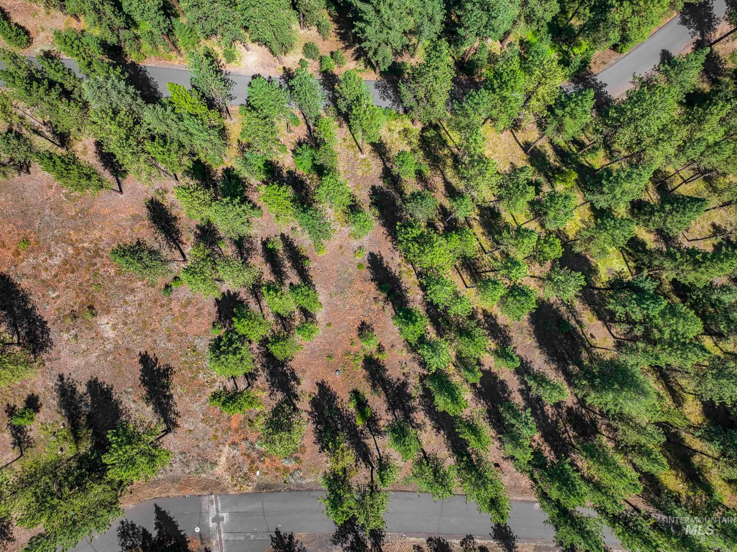 Tbd Syringa Drive New Meadows, ID 83654 - Photo 21 of 29 Aerial view