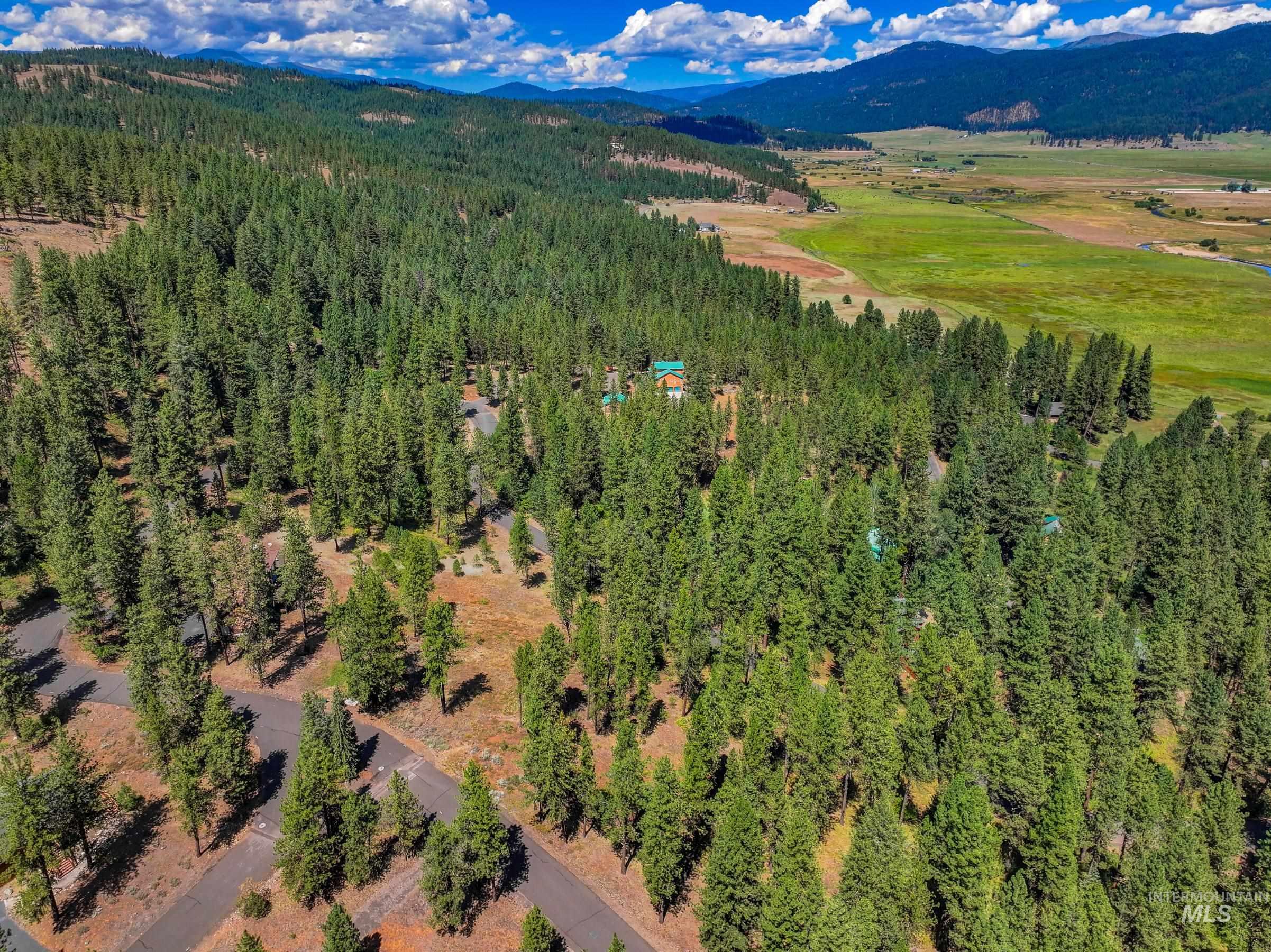Tbd Syringa Drive New Meadows, ID 83654 - Photo 23 of 29 Aerial view of property's location with a heavily wooded area and mountains