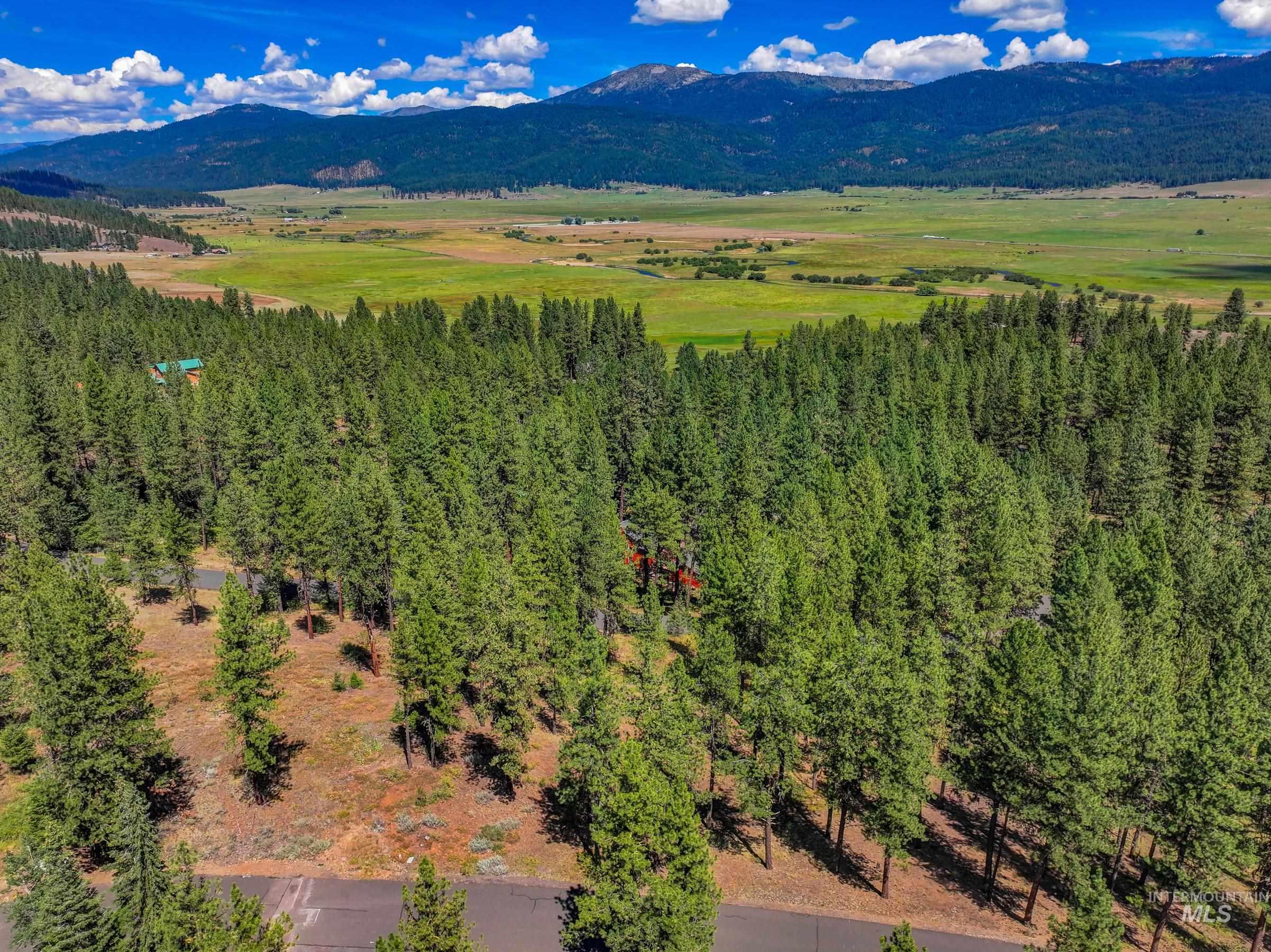 Tbd Syringa Drive New Meadows, ID 83654 - Photo 27 of 29 Drone / aerial view of mountains