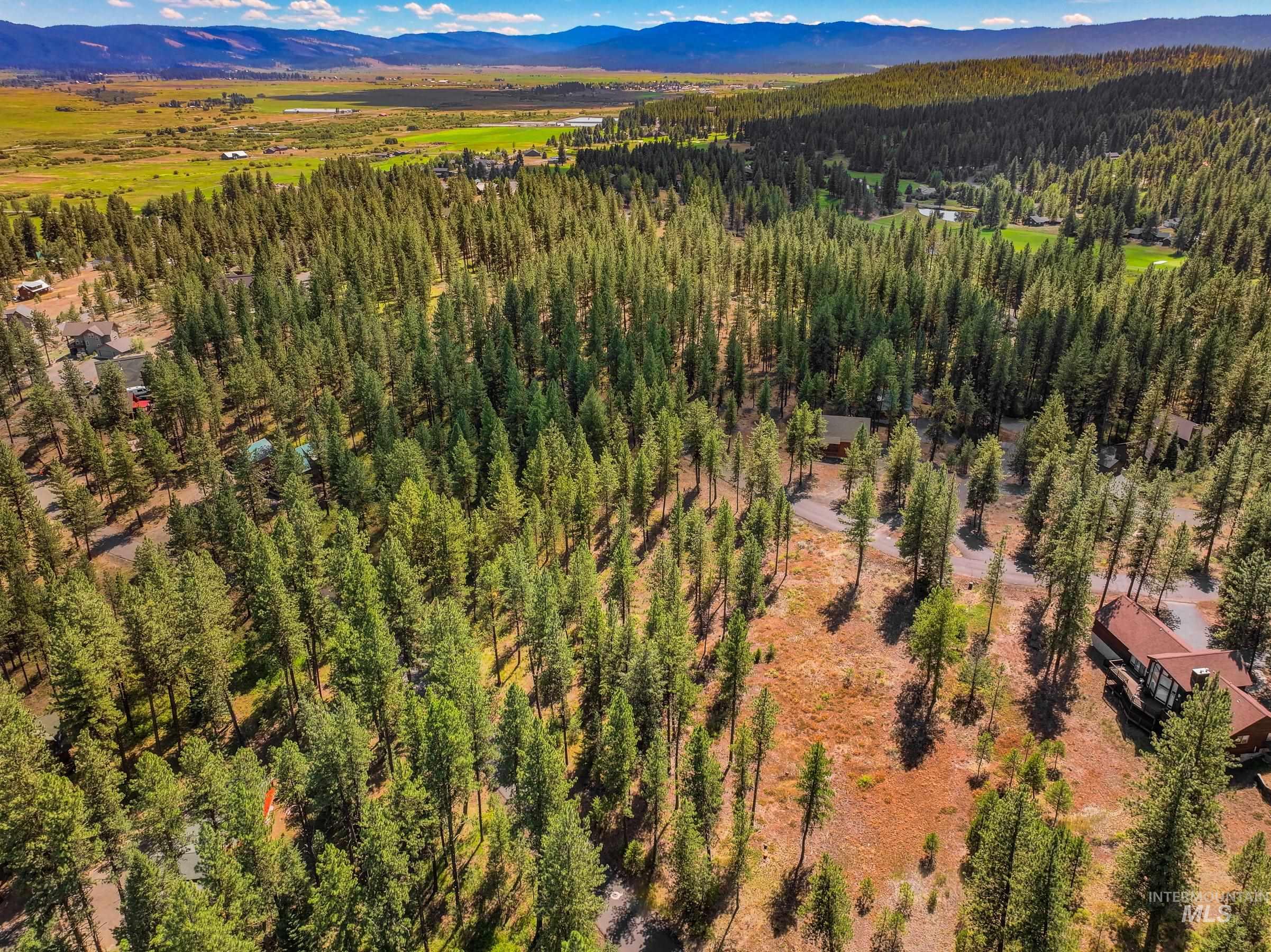 Tbd Syringa Drive New Meadows, ID 83654 - Photo 3 of 29 Aerial view of a mountainous background