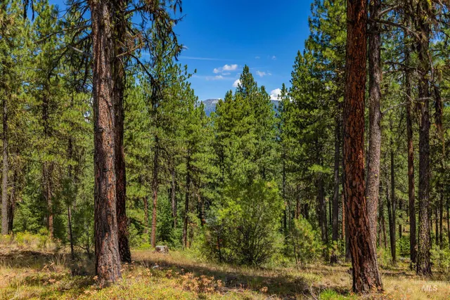 $74,990 | Tbd Syringa Drive, New Meadows, ID 83654