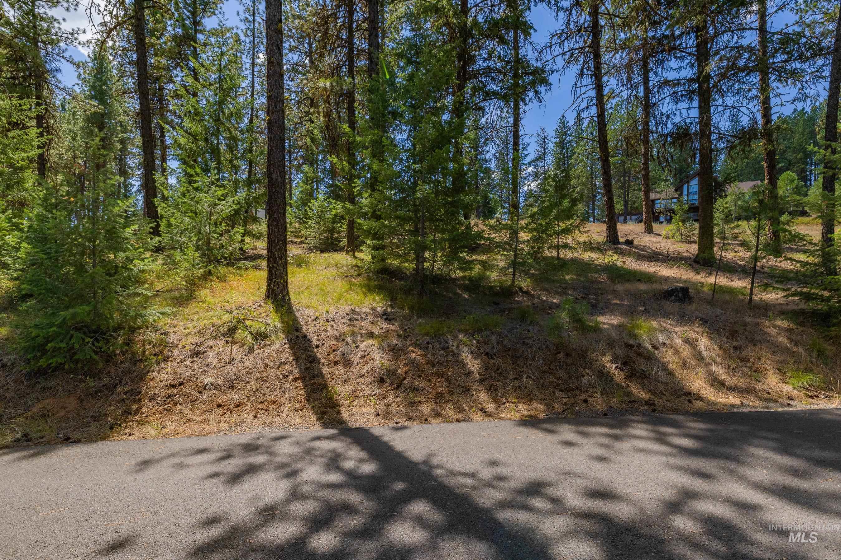 Tbd Syringa Drive New Meadows, ID 83654 - Photo 7 of 29 View of undeveloped land