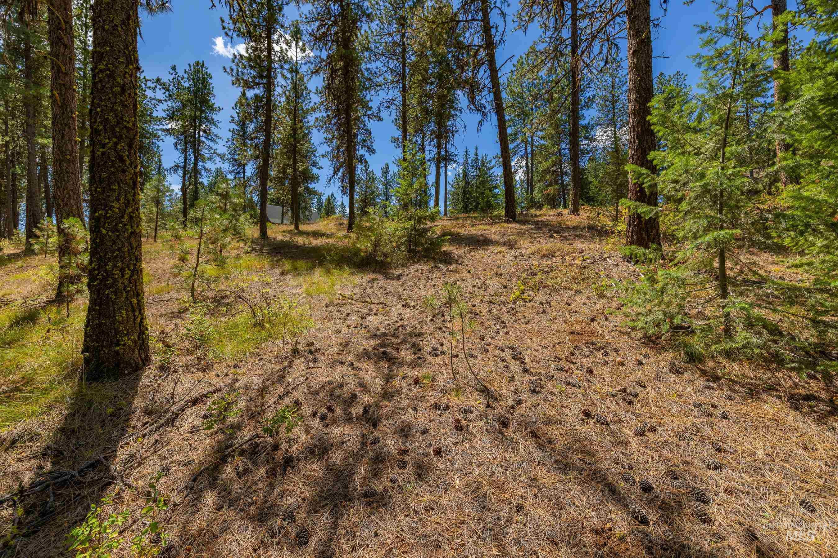 Tbd Syringa Drive New Meadows, ID 83654 - Photo 8 of 29 View of local wilderness