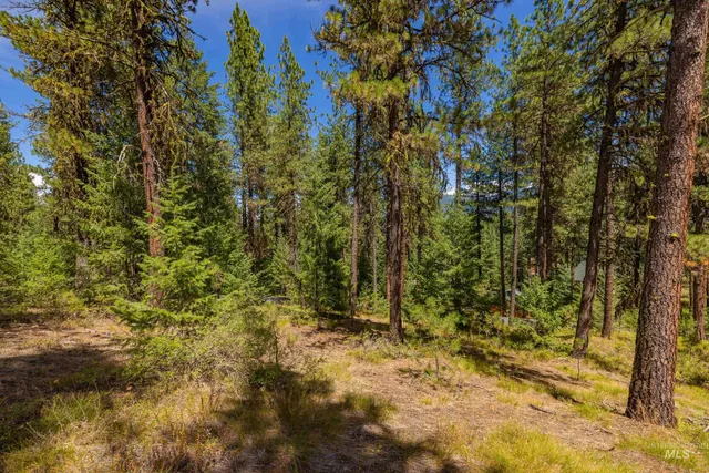$74,990 | Tbd Syringa Drive, New Meadows, ID 83654